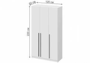 Шкаф платяной Бирма ШК-1200 в Озерске - ozersk.mebel24.online | фото 4