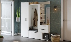 Шкаф платяной Эрика в Озерске - ozersk.mebel24.online | фото 3