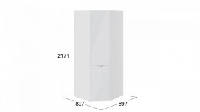 Шкаф платяной Глосс СМ-319.07.311 в Озерске - ozersk.mebel24.online | фото 3