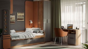 Шкаф платяной Хилтон Исп. 2 в Озерске - ozersk.mebel24.online | фото 5