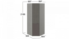 Шкаф платяной Либерти СМ-297.07.033 в Озерске - ozersk.mebel24.online | фото 3