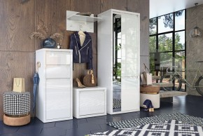 Шкаф платяной Норден СТЛ.413.01 в Озерске - ozersk.mebel24.online | фото 4