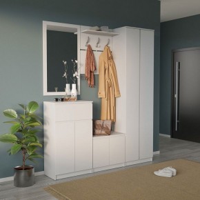 Шкаф платяной ШО-4 в Озерске - ozersk.mebel24.online | фото 6