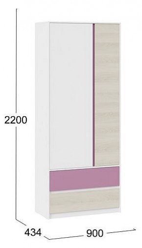 Шкаф платяной Сканди в Озерске - ozersk.mebel24.online | фото 5