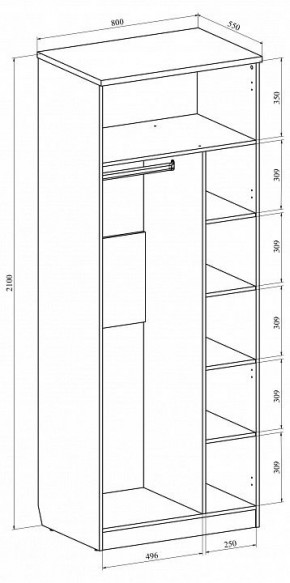 Шкаф платяной Виктория ВИ-11 в Озерске - ozersk.mebel24.online | фото 5