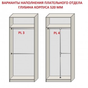 Шкаф распашной серия «ЗЕВС» (PL3/С1/PL2) в Озерске - ozersk.mebel24.online | фото 10