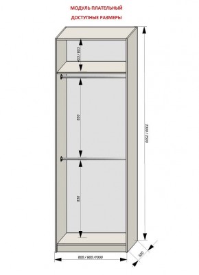 Шкаф распашной серия «ЗЕВС» (PL3/С1/PL2) в Озерске - ozersk.mebel24.online | фото 12