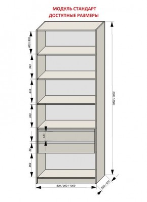 Шкаф распашной серия «ЗЕВС» (PL3/С1/PL2) в Озерске - ozersk.mebel24.online | фото 13