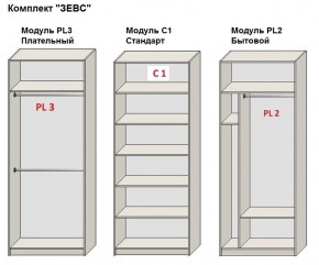 Шкаф распашной серия «ЗЕВС» (PL3/С1/PL2) в Озерске - ozersk.mebel24.online | фото 2