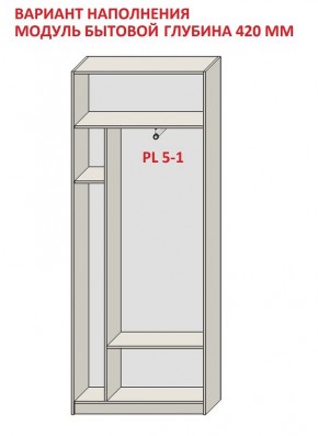 Шкаф распашной серия «ЗЕВС» (PL3/С1/PL2) в Озерске - ozersk.mebel24.online | фото 4