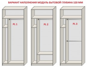 Шкаф распашной серия «ЗЕВС» (PL3/С1/PL2) в Озерске - ozersk.mebel24.online | фото 5