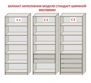 Шкаф распашной серия «ЗЕВС» (PL3/С1/PL2) в Озерске - ozersk.mebel24.online | фото 6