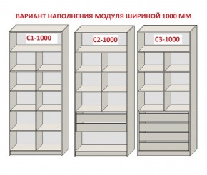 Шкаф распашной серия «ЗЕВС» (PL3/С1/PL2) в Озерске - ozersk.mebel24.online | фото 7