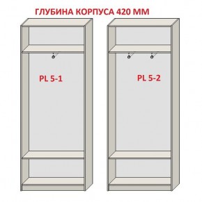 Шкаф распашной серия «ЗЕВС» (PL3/С1/PL2) в Озерске - ozersk.mebel24.online | фото 8