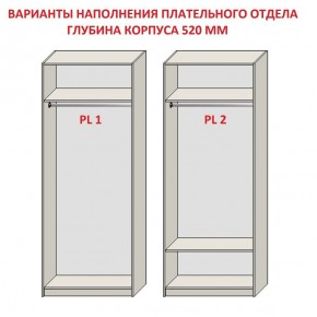 Шкаф распашной серия «ЗЕВС» (PL3/С1/PL2) в Озерске - ozersk.mebel24.online | фото 9