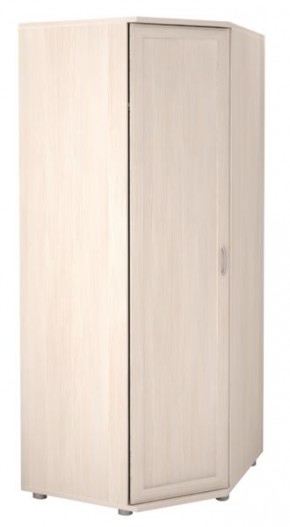 Шкаф угловой для одежды Ника-Люкс 30 с зеркалами в Озерске - ozersk.mebel24.online | фото 2