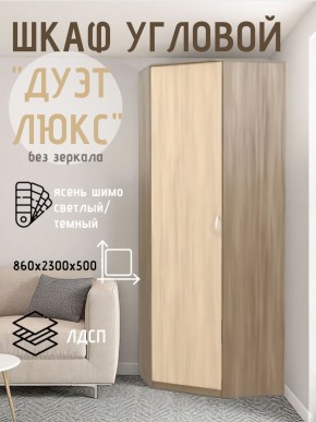 Шкаф угловой Дуэт Люкс без зеркала в Озерске - ozersk.mebel24.online | фото 7