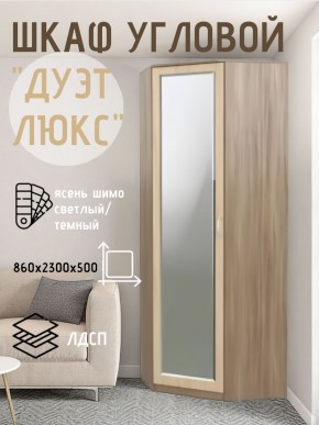 Шкаф угловой Дуэт Люкс с зеркалом в Озерске - ozersk.mebel24.online | фото 3