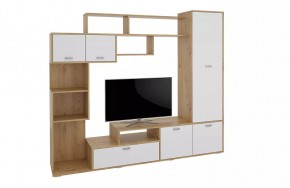 Стенка Диско (СТЛ.150.01) Дуб дикий/Белый в Озерске - ozersk.mebel24.online | фото