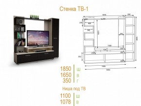 Стенка для гостиной ТВ-1 в Озерске - ozersk.mebel24.online | фото 2