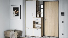 Стенка для прихожей Торонто в Озерске - ozersk.mebel24.online | фото 5