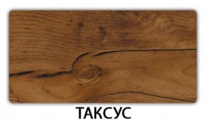 Стол-бабочка Паук пластик травертин Таксус в Озерске - ozersk.mebel24.online | фото 20