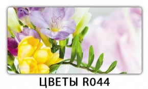 Стол раздвижной-бабочка Бриз с фотопечатью Доска D110 в Озерске - ozersk.mebel24.online | фото 17