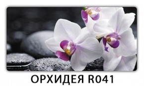 Стол раздвижной-бабочка Бриз с фотопечатью Доска D110 в Озерске - ozersk.mebel24.online | фото 20