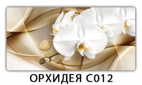 Стол раздвижной Трилогия с фотопечатью Доска D111 в Озерске - ozersk.mebel24.online | фото 13
