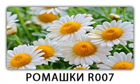 Стол раздвижной Трилогия с фотопечатью Доска D111 в Озерске - ozersk.mebel24.online | фото 15