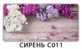 Стол раздвижной Трилогия с фотопечатью Доска D111 в Озерске - ozersk.mebel24.online | фото 16