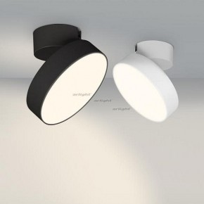 Светильник на штанге Arlight SP-RONDO-FLAP-R210-20W Day4000 (BK, 110 deg) 026453 в Озерске - ozersk.mebel24.online | фото 3
