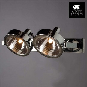 Светильник на штанге Arte Lamp Faccia A4507PL-2CC в Озерске - ozersk.mebel24.online | фото 3