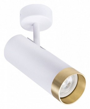 Светильник на штанге Arte Lamp Topic A2357PL-1WH в Озерске - ozersk.mebel24.online | фото