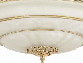 Светильник на штанге Arti Lampadari Pavia Pavia E 1.13.P40 G в Озерске - ozersk.mebel24.online | фото 3