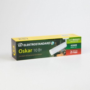 Светильник на штанге Elektrostandard Oskar a040963 в Озерске - ozersk.mebel24.online | фото 6