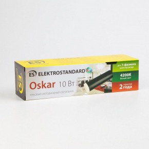 Светильник на штанге Elektrostandard Oskar a040964 в Озерске - ozersk.mebel24.online | фото 4