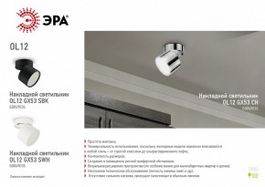 Светильник на штанге Эра OL12 GX53 SBK Б0049034 в Озерске - ozersk.mebel24.online | фото 5