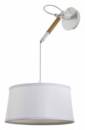 Светильник на штанге F-promo Eureka 3005-1P в Озерске - ozersk.mebel24.online | фото 2