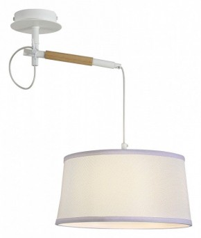Светильник на штанге F-promo Eureka 3005-1P в Озерске - ozersk.mebel24.online | фото 4
