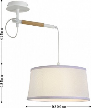 Светильник на штанге F-promo Eureka 3005-1P в Озерске - ozersk.mebel24.online | фото 5