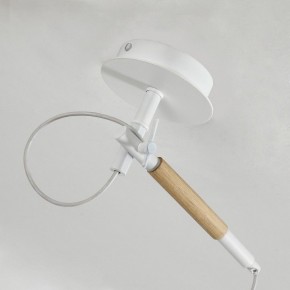 Светильник на штанге F-promo Eureka 3005-1P в Озерске - ozersk.mebel24.online | фото 8