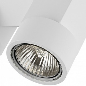 Светильник на штанге Lightstar Illumo X2 051036 в Озерске - ozersk.mebel24.online | фото 2