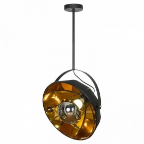 Светильник на штанге Lussole Klamath LSP-0556-C80 в Озерске - ozersk.mebel24.online | фото 2