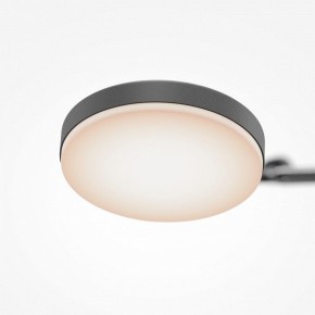 Светильник на штанге Maytoni Fad MOD070CL-L15B3K1 в Озерске - ozersk.mebel24.online | фото 7