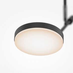 Светильник на штанге Maytoni Fad MOD070CL-L8B3K в Озерске - ozersk.mebel24.online | фото 4