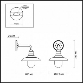 Светильник на штанге Odeon Light Campa 4965/1W в Озерске - ozersk.mebel24.online | фото 4