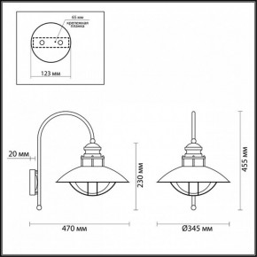 Светильник на штанге Odeon Light Dante 4164/1WA в Озерске - ozersk.mebel24.online | фото 5