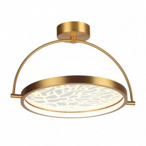 Светильник на штанге Odeon Light Solaris 6627/36CL в Озерске - ozersk.mebel24.online | фото 3