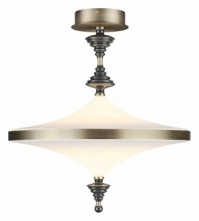 Светильник на штанге Odeon Light Ula 5404/43CL в Озерске - ozersk.mebel24.online | фото 2